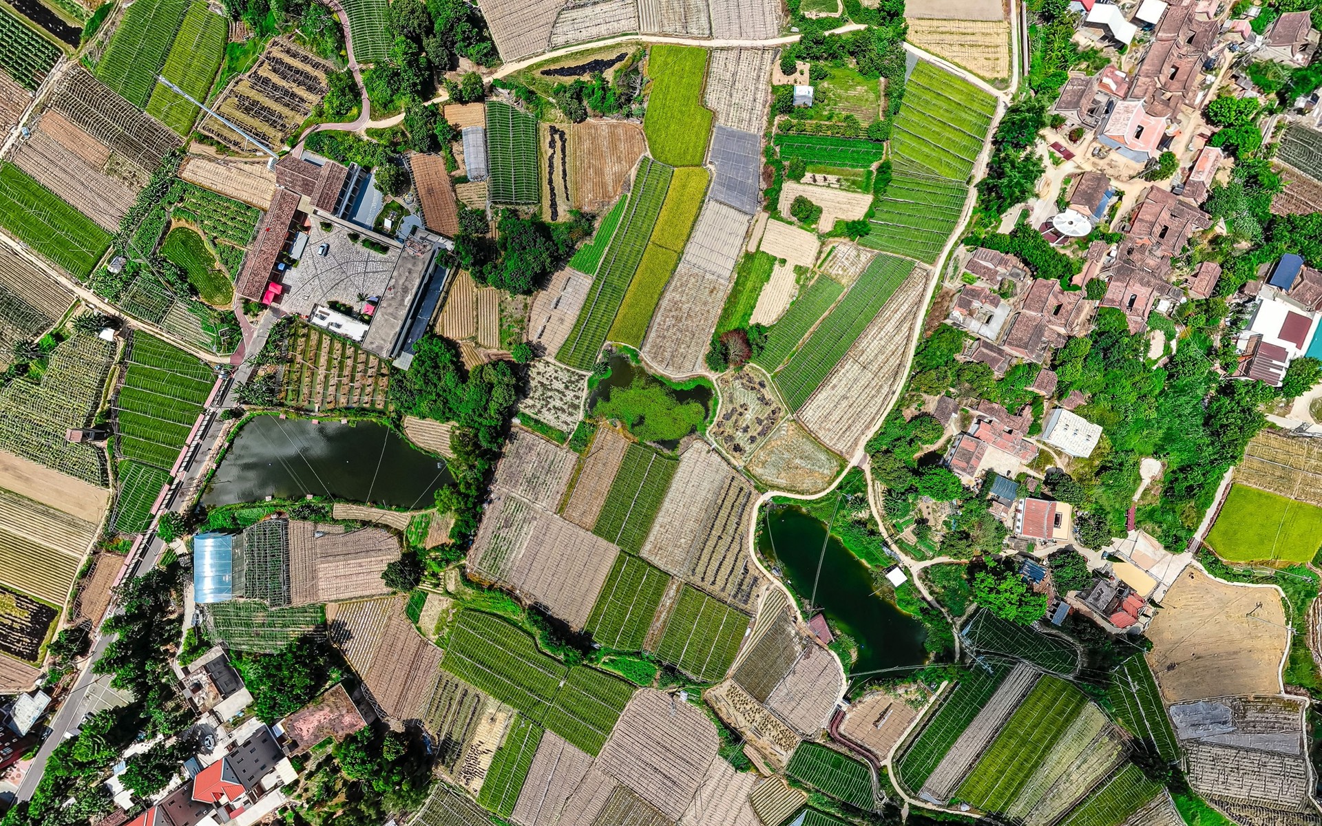 A village among its fields