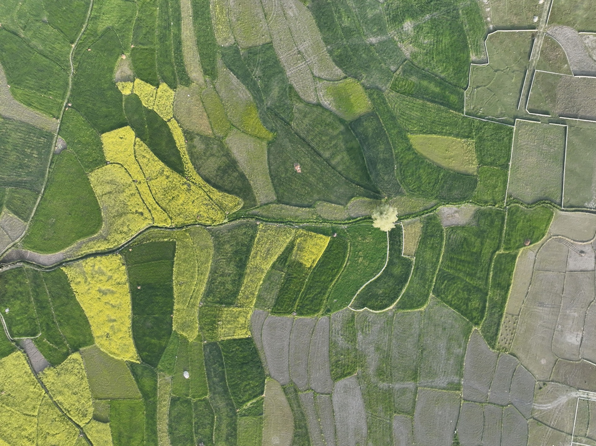 Overhead aerial view of terraced rice fields forming a natural patchwork pattern