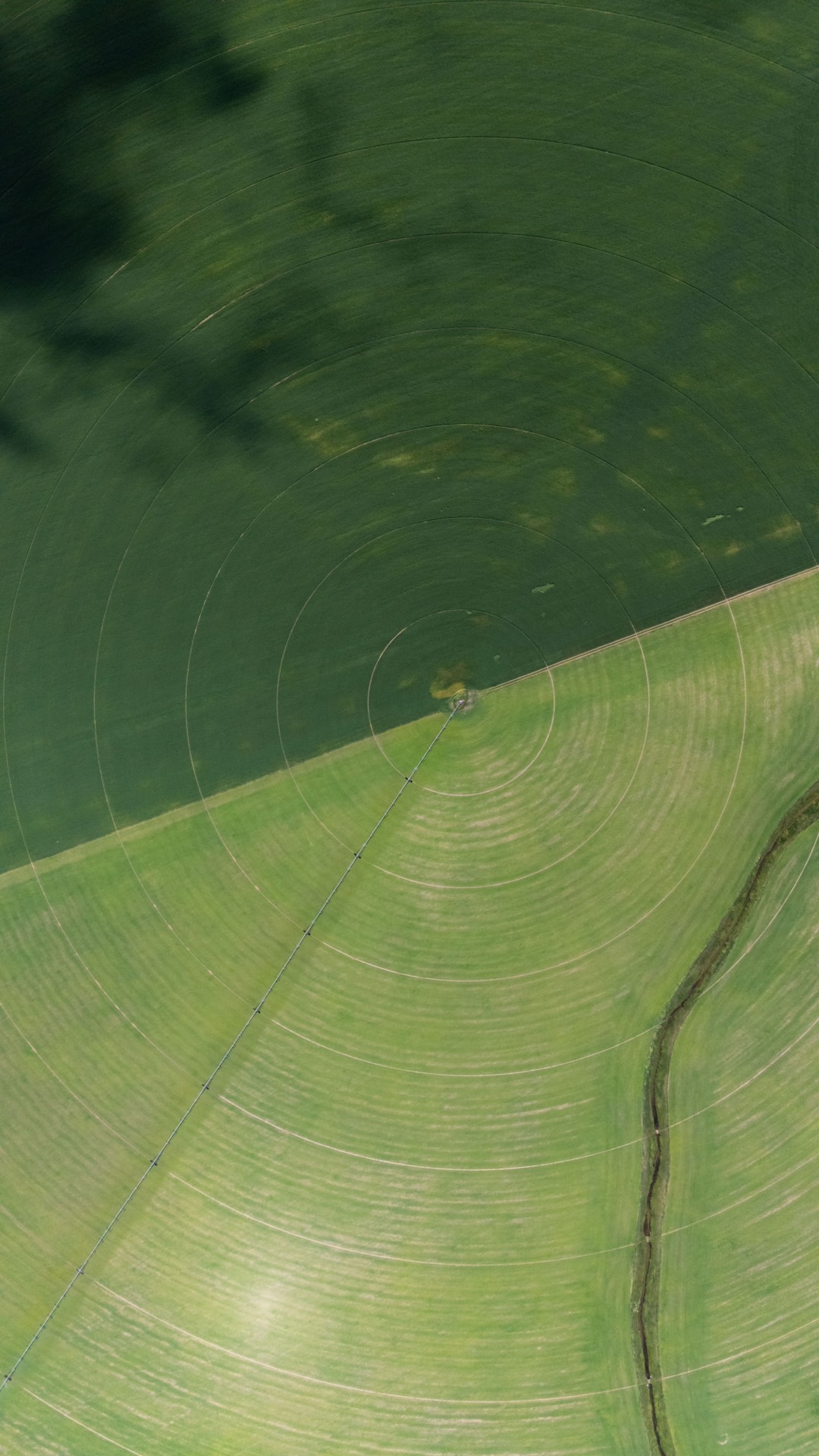 A center-pivot irrigation circle