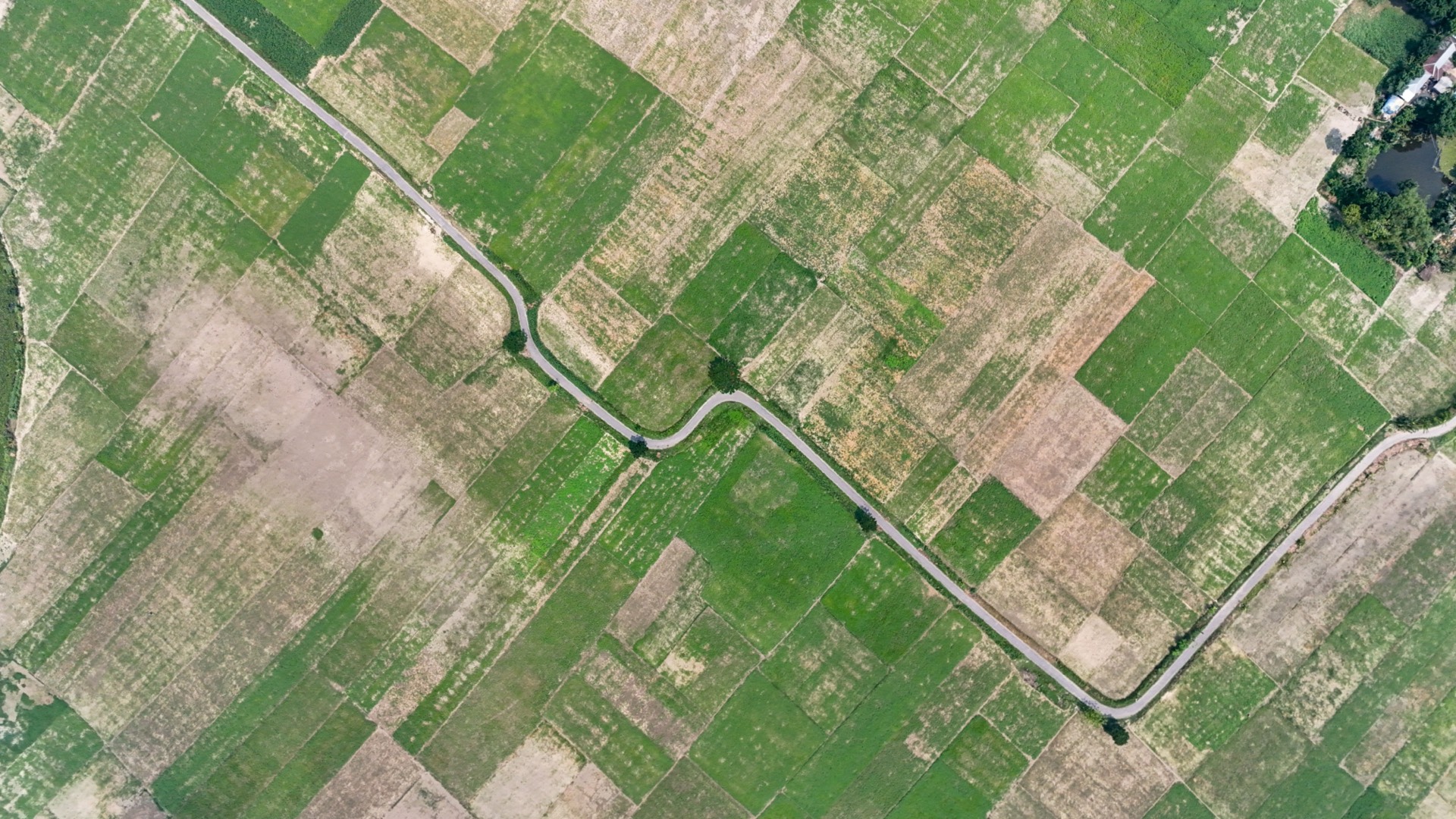Overhead satellite view of green farm fields divided by a winding country road