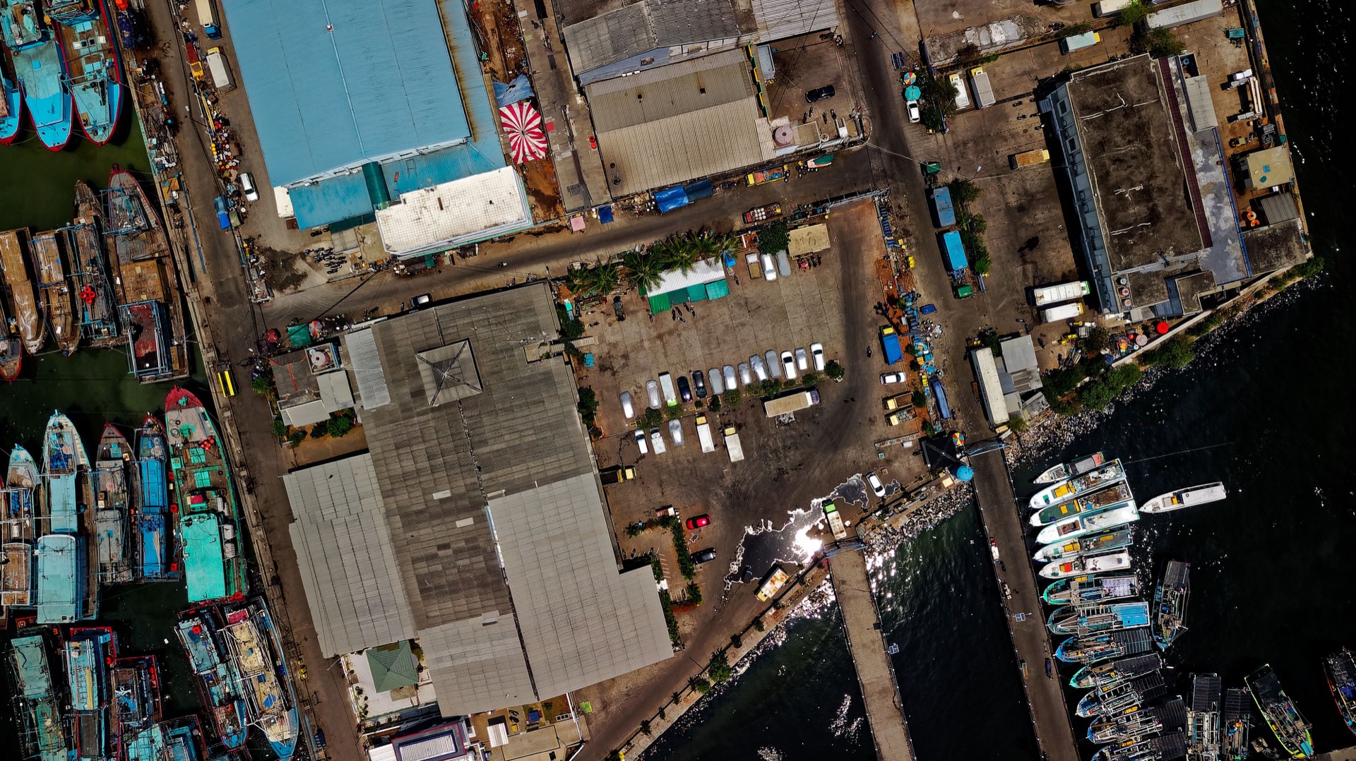 A working fishing harbor
